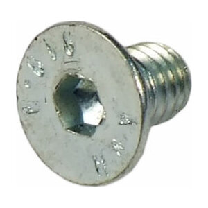 SCREW M6X10 10.9 UNI 5933 | 
