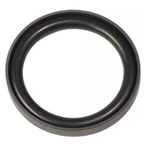 DICHTUNG MIT RING (KOMPOSIT) | 