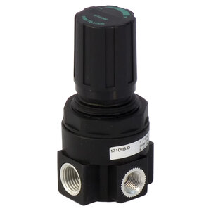 GOVERNOR G1/4 17109B.D | 