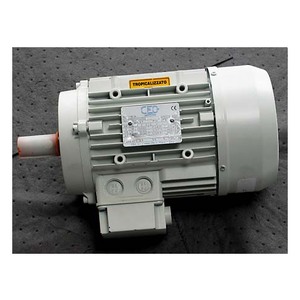 THREE-PHASE MOTOR S6/40% | 