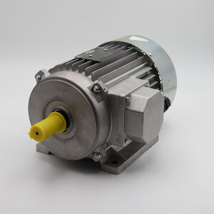 THREE-PHASE MOTOR S6/40% | 